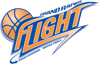 Grand Rapids Flight 2004-2009 Primary Logo iron on transfers for clothing
